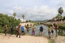 Mortaldat de peixos a la riera de la Murtra de Creixell per manca d’oxigen a l’aigua
